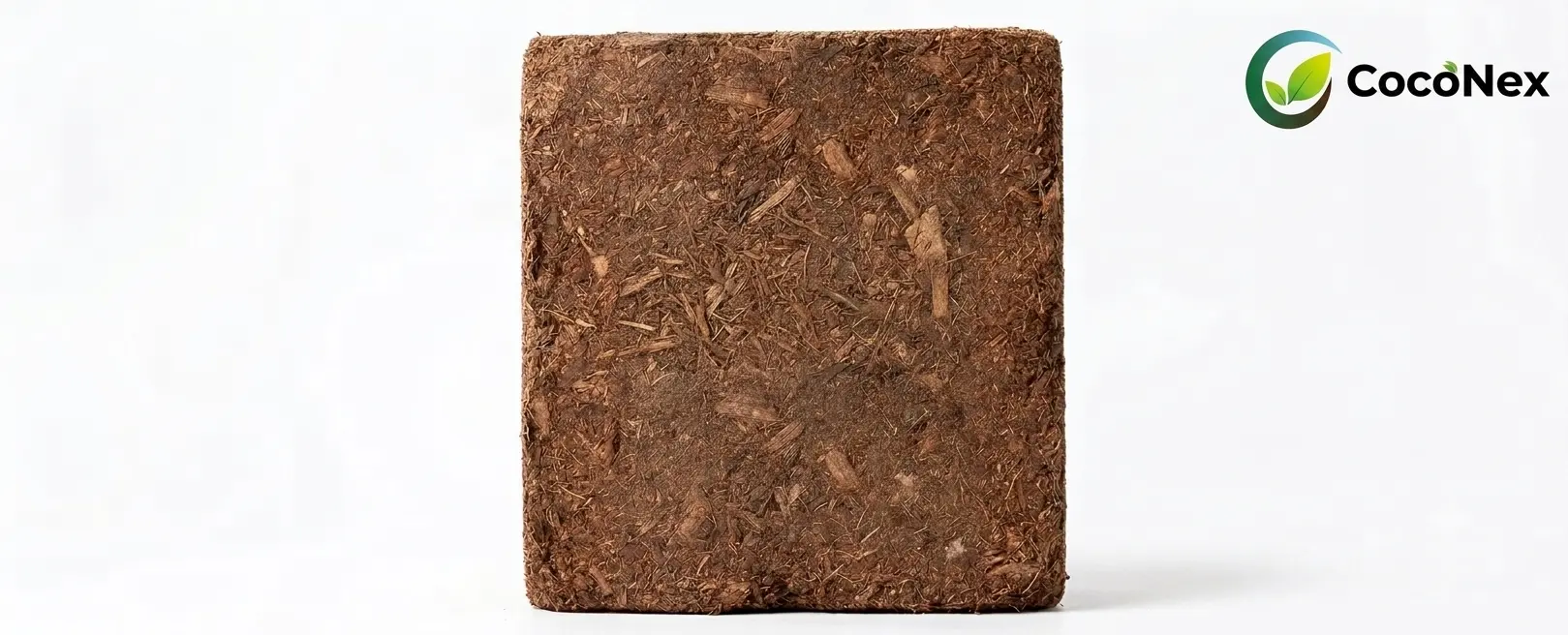 Premium 5kg compressed coco peat block from CocoNex - low EC coco peat for horticulture and hydroponics